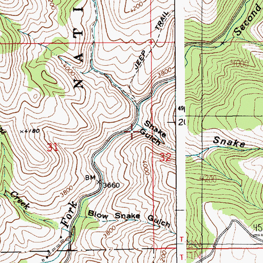 Topographic Map of Shake Gulch, ID