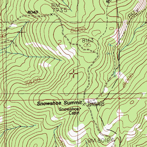 Topographic Map of Snowshoe Summit, ID