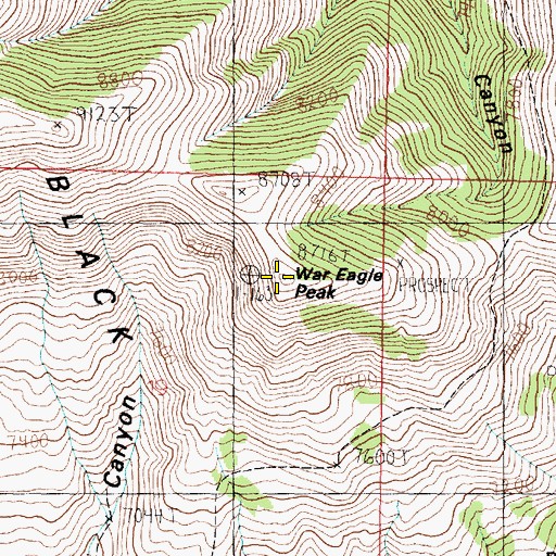 Topographic Map of War Eagle Peak, ID