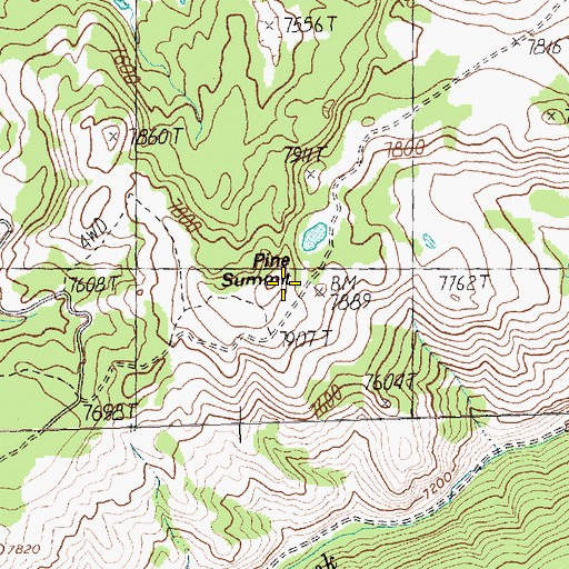 Topographic Map of Pine Summit, ID