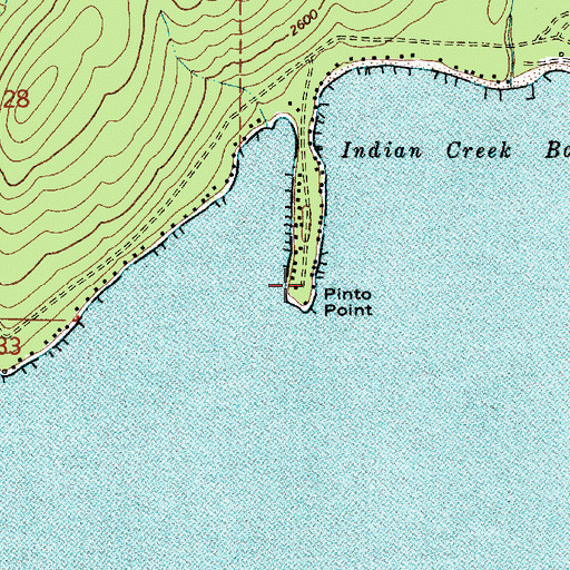 Topographic Map of Pinto Point, ID