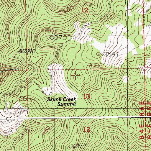 Topographic Map of Skunk Creek Summit, ID