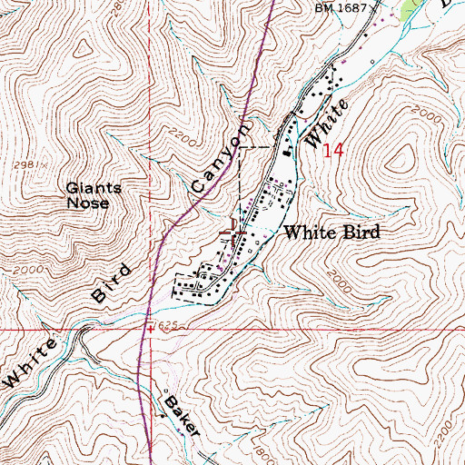 Topographic Map of White Bird, ID