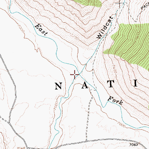 Topographic Map of Wildhorse Creek, ID