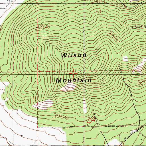 Topographic Map of Wilson Mountain, ID