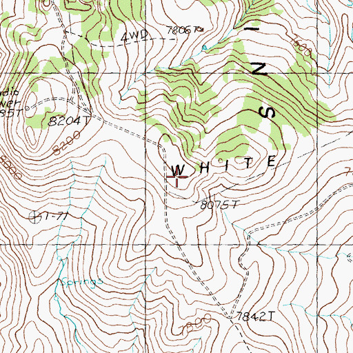Topographic Map of White Hills, ID