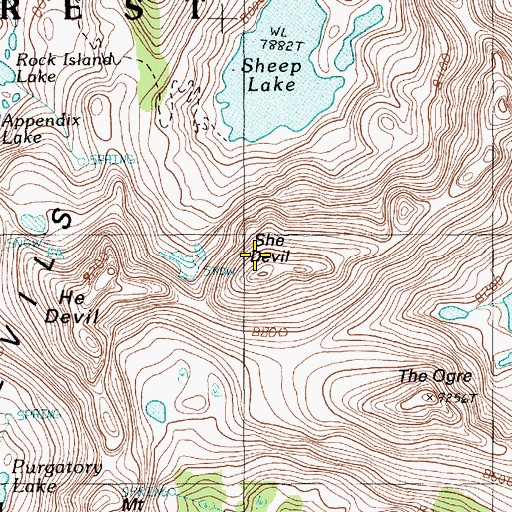 Topographic Map of She Devil, ID