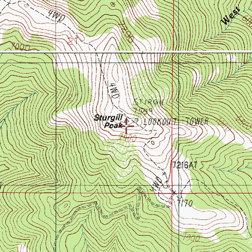 Topographic Map of Sturgil Peak Lookout, ID