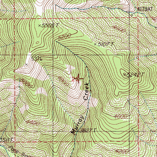 Topographic Map of Bad Tom Trail, ID