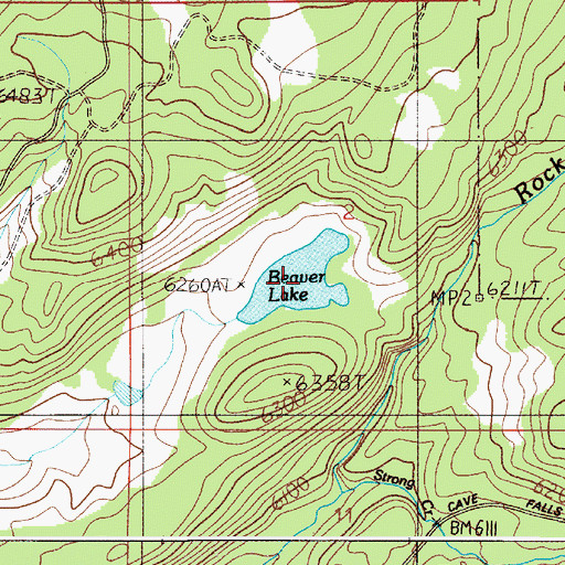 Topographic Map of Beaver Lake, ID