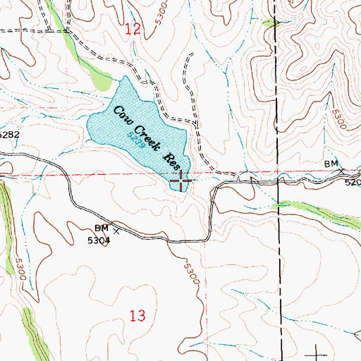 Topographic Map of Cow Creek Dam, ID