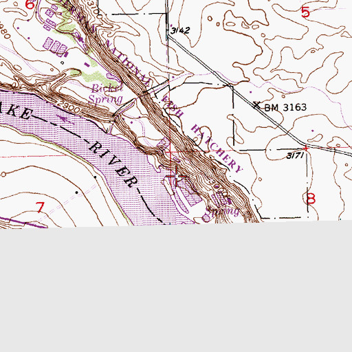 Topographic Map of Bridal Wreath Springs, ID
