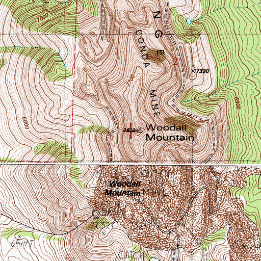 Topographic Map of Woodall Mountain, ID