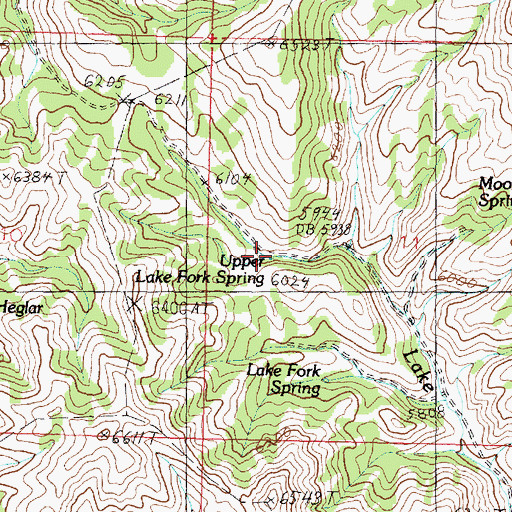 Topographic Map of Upper Lake Fork Spring, ID