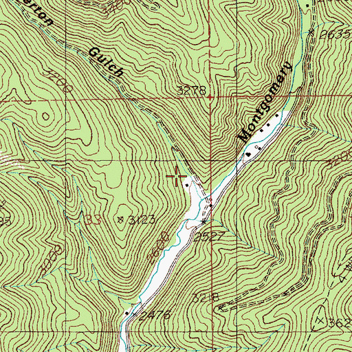 Topographic Map of Swinnerton Gulch, ID