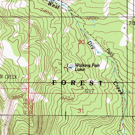 Topographic Map of Walking Fish Lake, ID