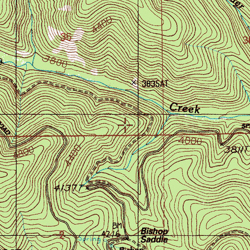 Topographic Map of Bishop Saddle, ID