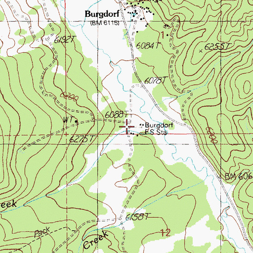 Topographic Map of Burgdorf Guard Station, ID