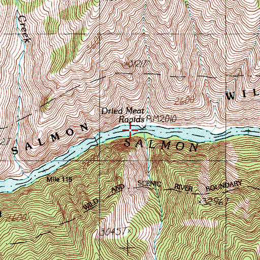 Topographic Map of Dried Meat Rapids, ID