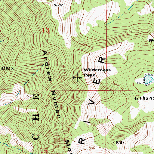 Topographic Map of Andrew Nyman Mountain, ID