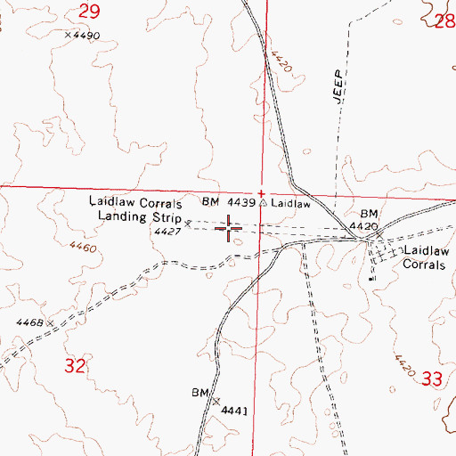 Topographic Map of Laidlaw Corrals Airport, ID