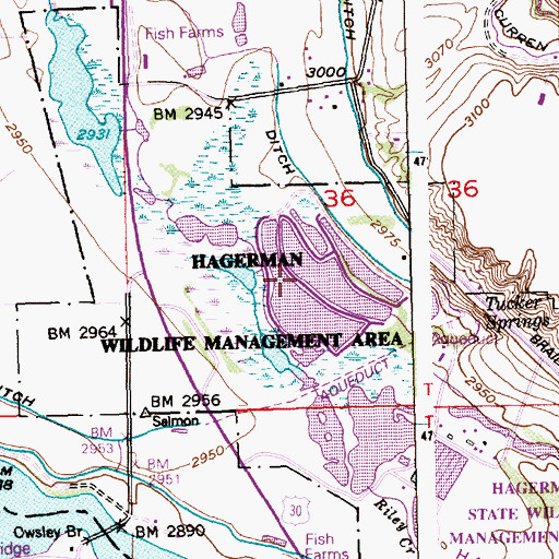 Topographic Map of Hagerman Wildlife Management Area, ID