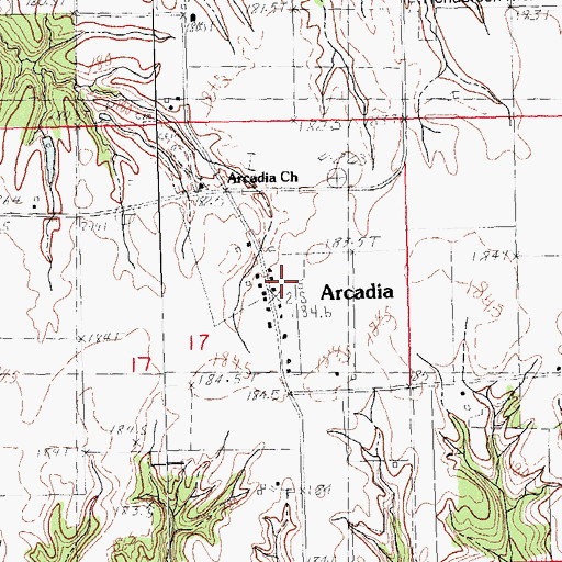 Topographic Map of Arcadia, IL