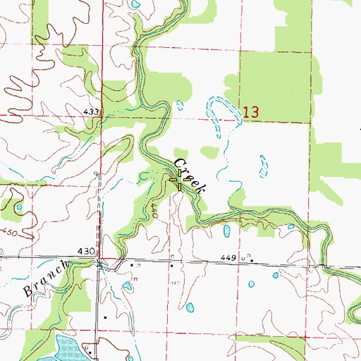Topographic Map of Back Branch, IL