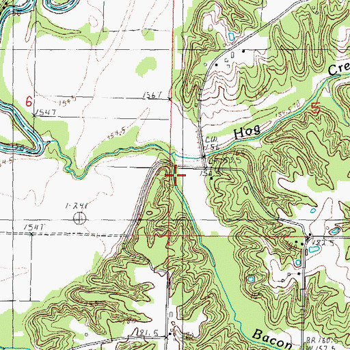 Topographic Map of Bacon Branch, IL