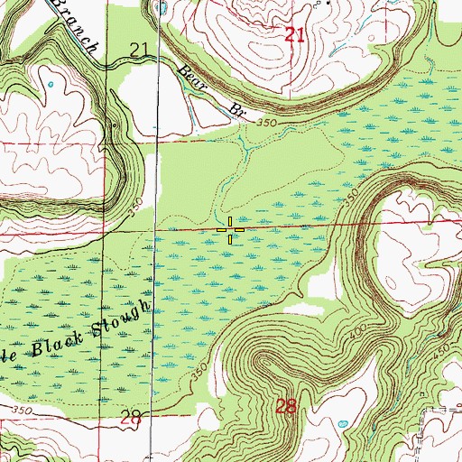 Topographic Map of Bear Branch, IL