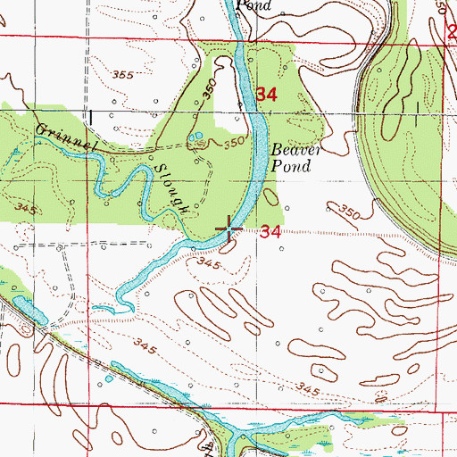 Topographic Map of Beaver Pond, IL