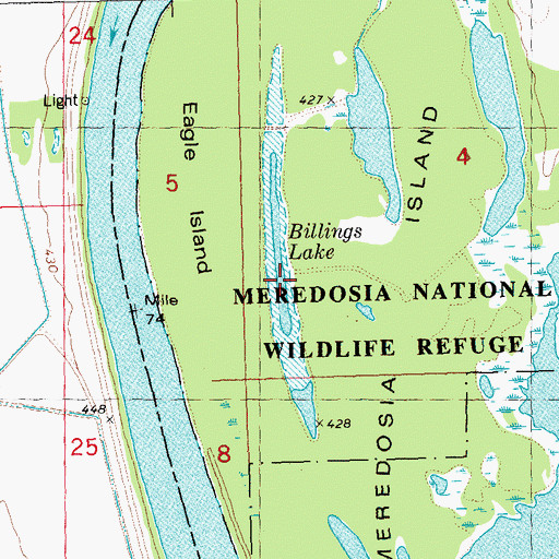 Topographic Map of Billings Lake, IL
