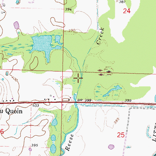 Topographic Map of Blacksop Creek, IL