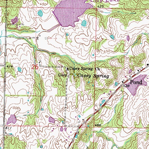 Topographic Map of Casey Spring, IL