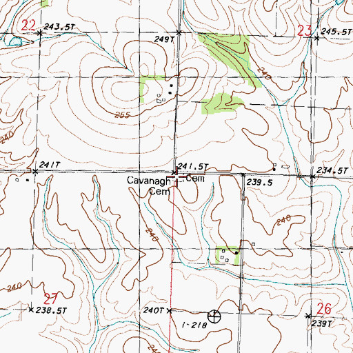 Topographic Map of Cavanagh Cemetery, IL