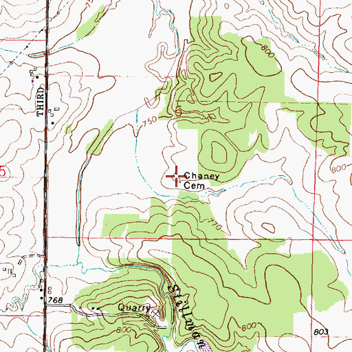 Topographic Map of Chaney Cemetery, IL