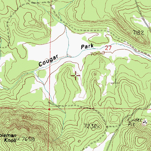 Topographic Map of Cougar Park, AZ