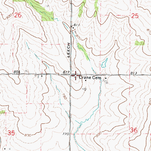 Topographic Map of Crane Cemetery, IL