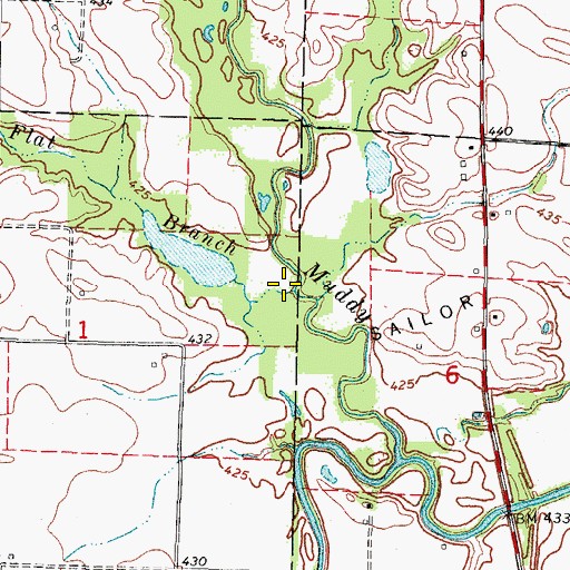 Topographic Map of Flat Branch, IL