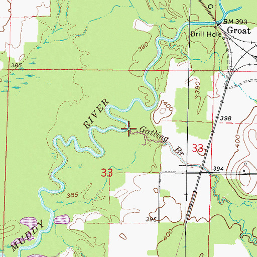 Topographic Map of Gatling Branch, IL