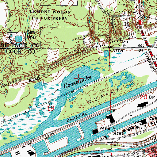 Topographic Map of Goose Lake, IL