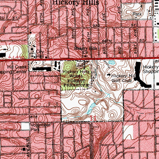 Topographic Map of Hickory Hills Woods, IL