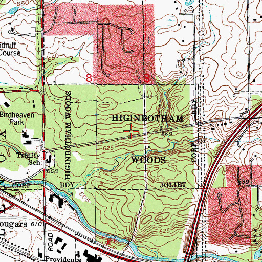 Topographic Map of Higinbotham Woods, IL