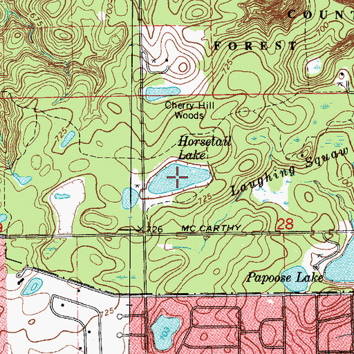 Topographic Map of Horsetail Lake, IL
