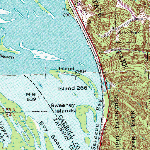 Topographic Map of Island 266, IL