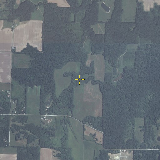 Aerial/Satellite Image of Lost Fork, IL