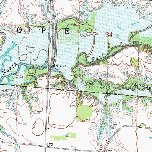 Topographic Map of Louse Run, IL