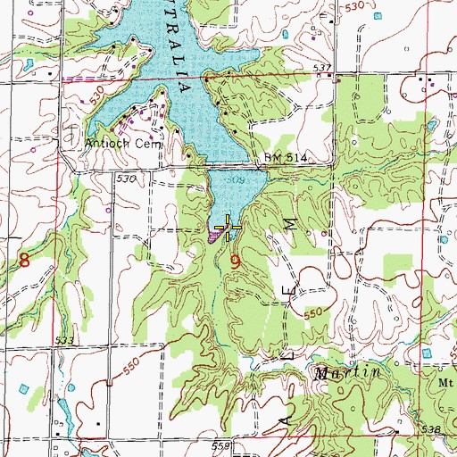 Topographic Map of Martin Branch, IL