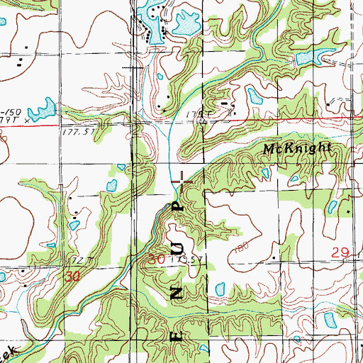 Topographic Map of McKnight Branch, IL
