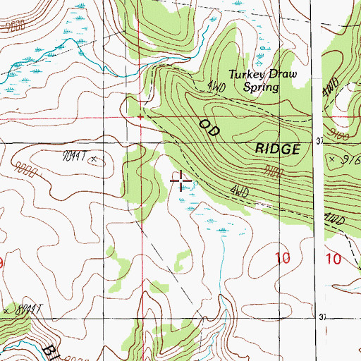 Topographic Map of Udall 12 Spring, AZ